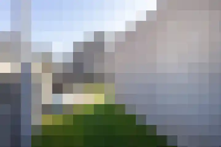 Eikenlaan 60 Borculo thumbnail 43