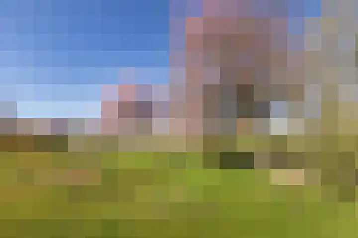 Eikenlaan 60 Borculo thumbnail 54