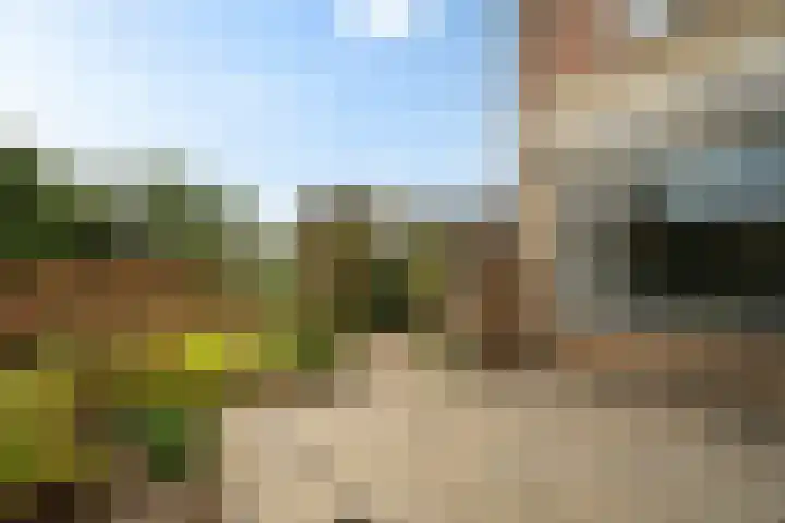 Eikenlaan 62 Borculo thumbnail 27