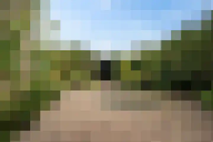 Eikenlaan 62 Borculo thumbnail 28