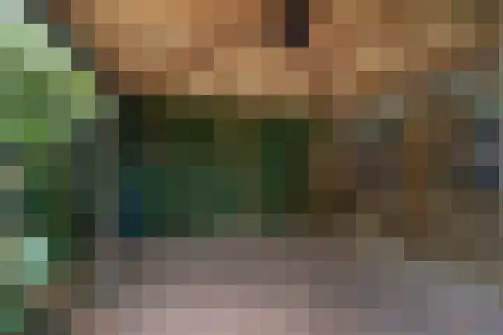Eikenlaan 62 Borculo thumbnail 30