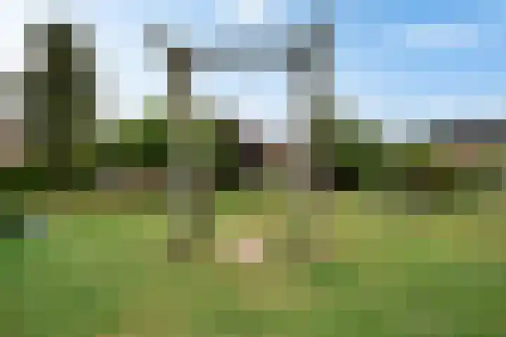 Eikenlaan 62 Borculo thumbnail 33