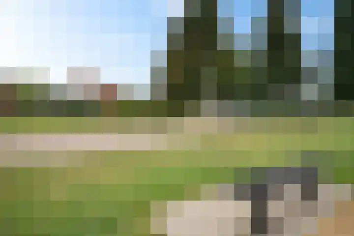 Eikenlaan 62 Borculo thumbnail 34