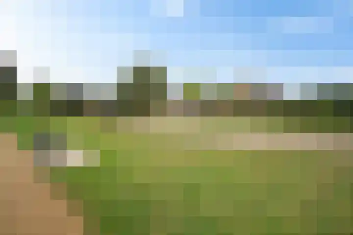 Eikenlaan 62 Borculo thumbnail 36