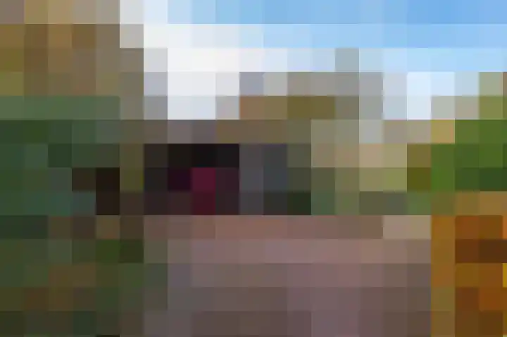 Eikenlaan 62 Kolham thumbnail 51