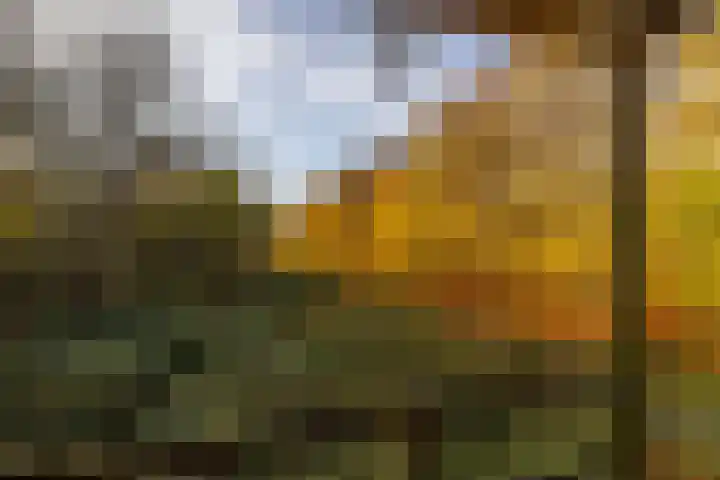 Eikenlaan 62 Kolham thumbnail 62