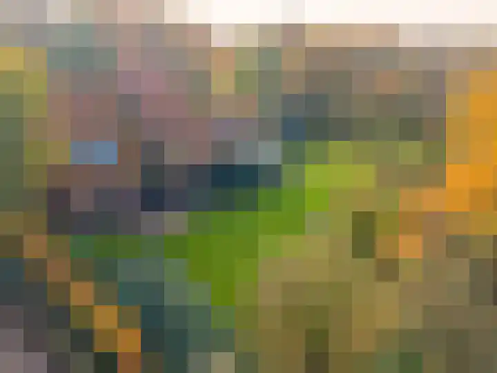 Eikenlaan 62 Kolham thumbnail 71