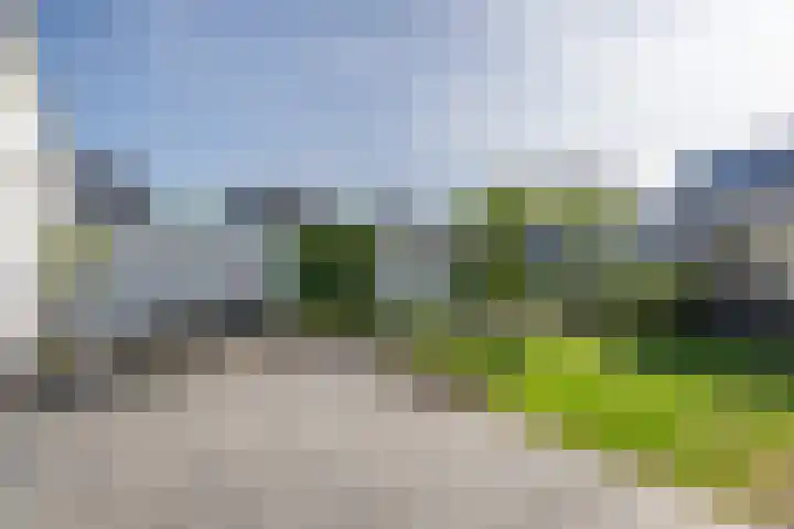 Eikenlaan 7 Dirksland thumbnail 26