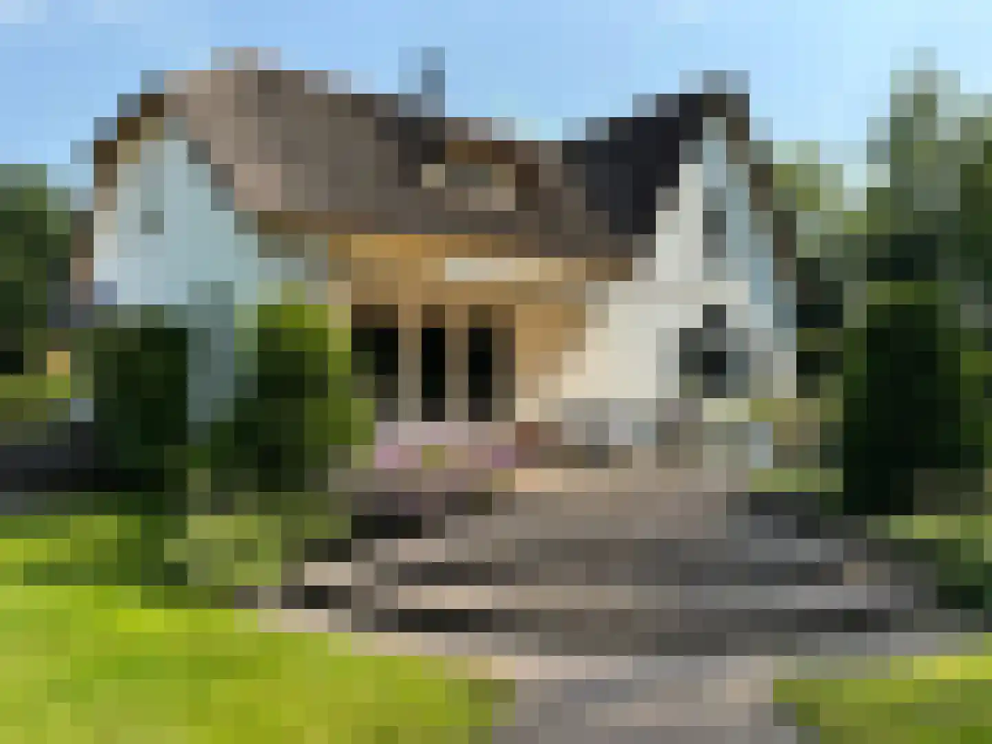 Eikenlaan 8 Heerde