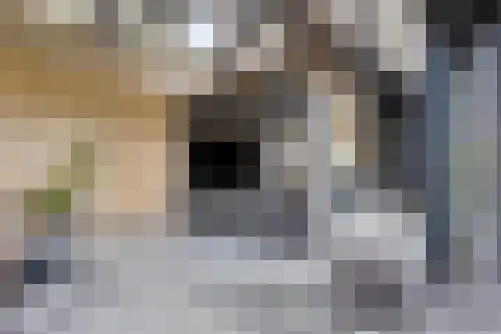 Eikenpage 9 Mierlo thumbnail 17