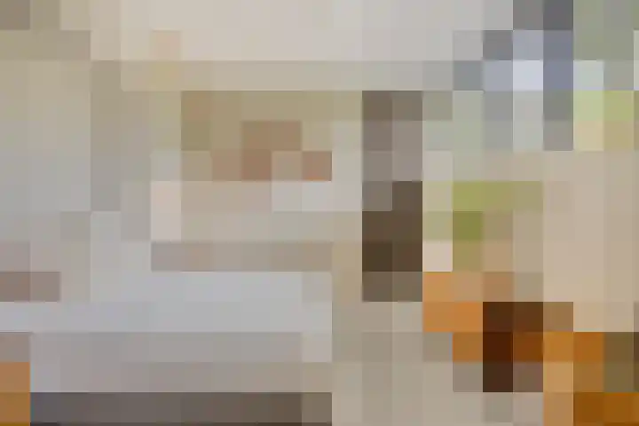 Eikenpage 9 Mierlo thumbnail 28