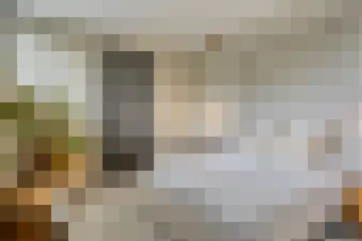 Eikenpage 9 Mierlo thumbnail 29