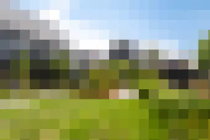 Eikenpage 9 Mierlo thumbnail 38