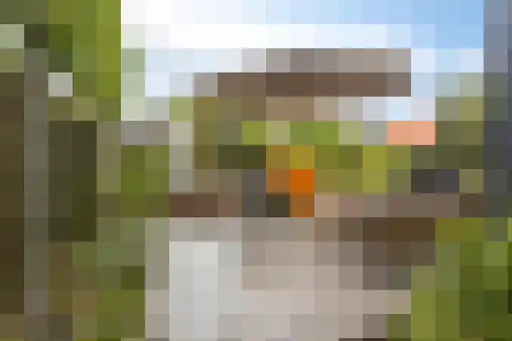 Eikenpage 9 Mierlo thumbnail 43