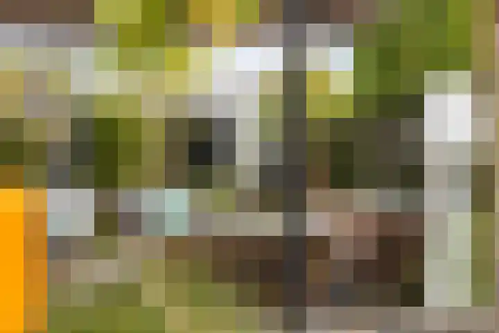 Eikenpage 9 Mierlo thumbnail 45