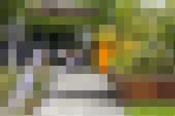 Eikenpage 9 Mierlo thumbnail 48