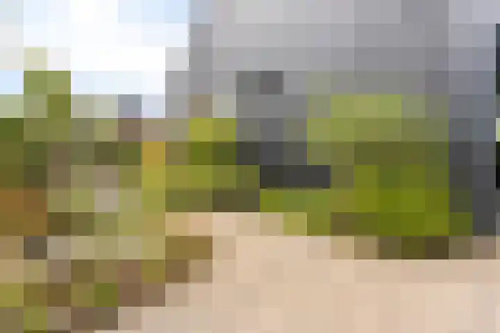 Eikenpage 9 Mierlo thumbnail 49