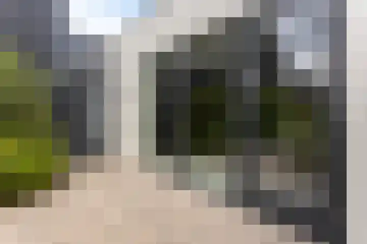 Eikenpage 9 Mierlo thumbnail 50