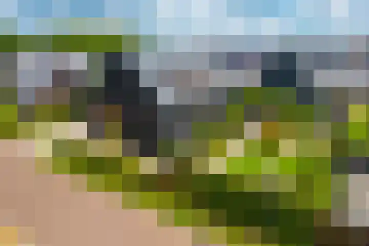 Eikenpage 9 Mierlo thumbnail 53