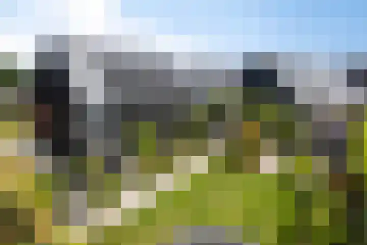 Eikenpage 9 Mierlo thumbnail 57