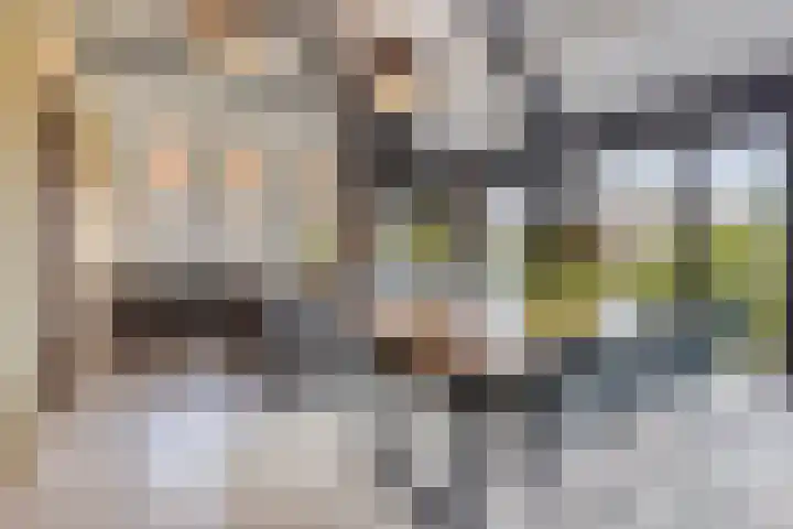 Eikenpage 9 Mierlo thumbnail 9