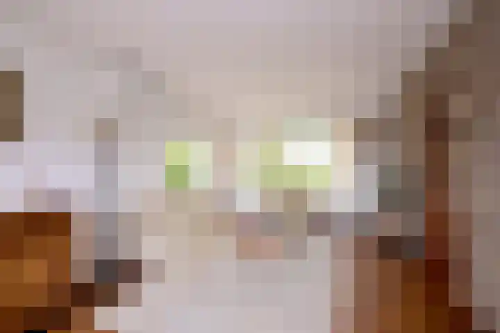 Eikensingel 6 Gorssel thumbnail 12