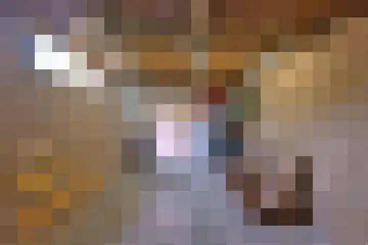 Eikensingel 6 Gorssel thumbnail 38