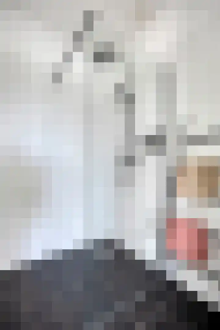 Eikenstraat 2 Beverwijk thumbnail 22