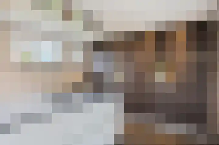 Eikenstraat 34 Linne thumbnail 17