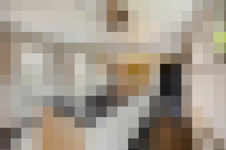 Eikenstraat 34 Linne thumbnail 18