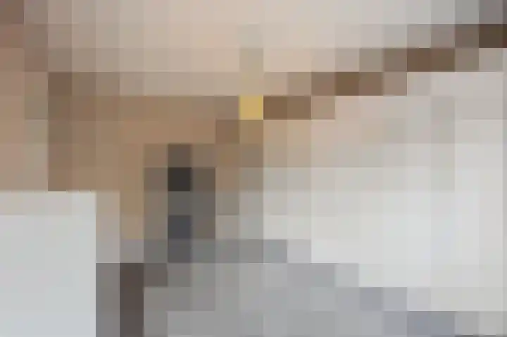 Eikenstraat 34 Linne thumbnail 25