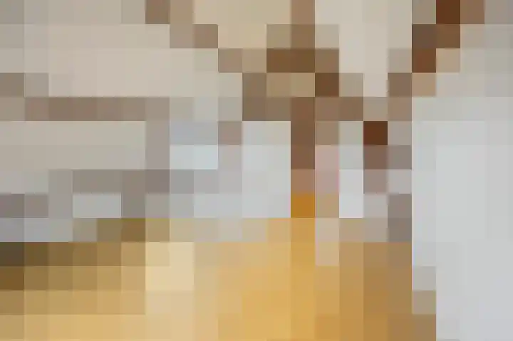 Eikenstraat 34 Linne thumbnail 35