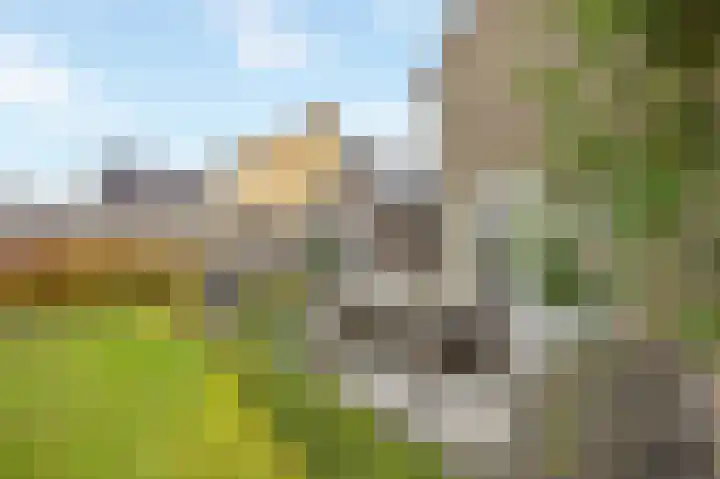 Eikenstraat 34 Linne thumbnail 41