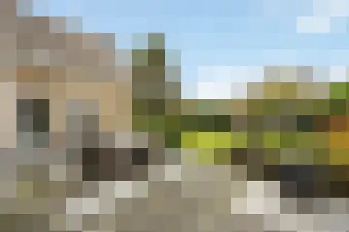 Eikenstraat 34 Linne thumbnail 43