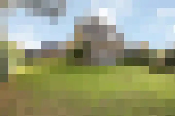 Eikenstraat 34 Linne thumbnail 45