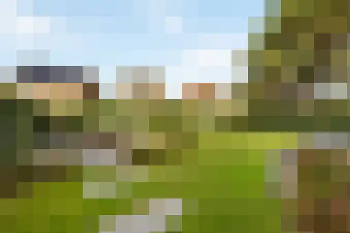 Eikenstraat 34 Linne thumbnail 47