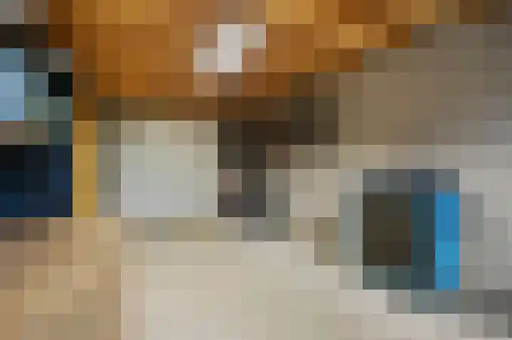 Eikenstraat 34 Linne thumbnail 50