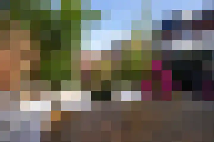Eikenstraat 8 Grevenbicht thumbnail 34
