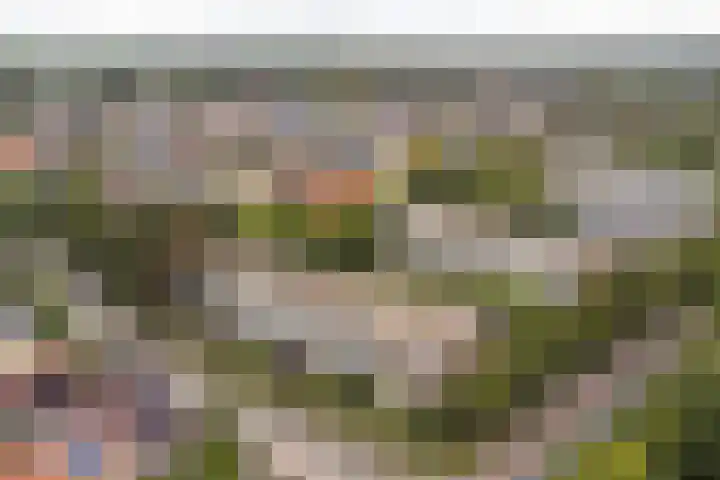 Eikenwal 132 Uden thumbnail 14