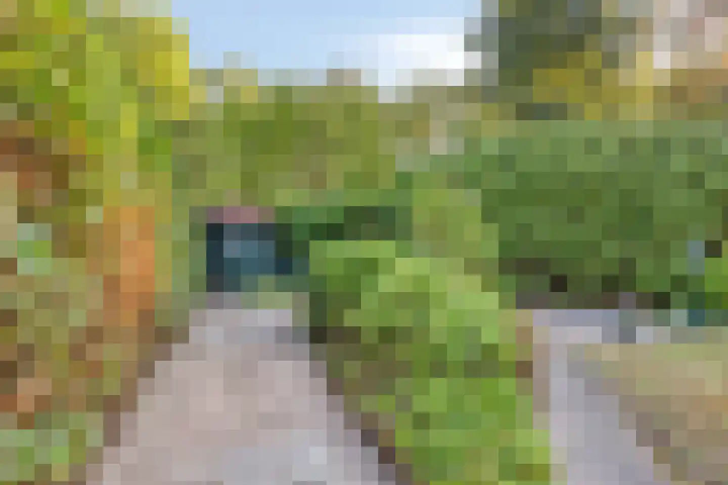 Eikenwal 132 Uden thumbnail 28