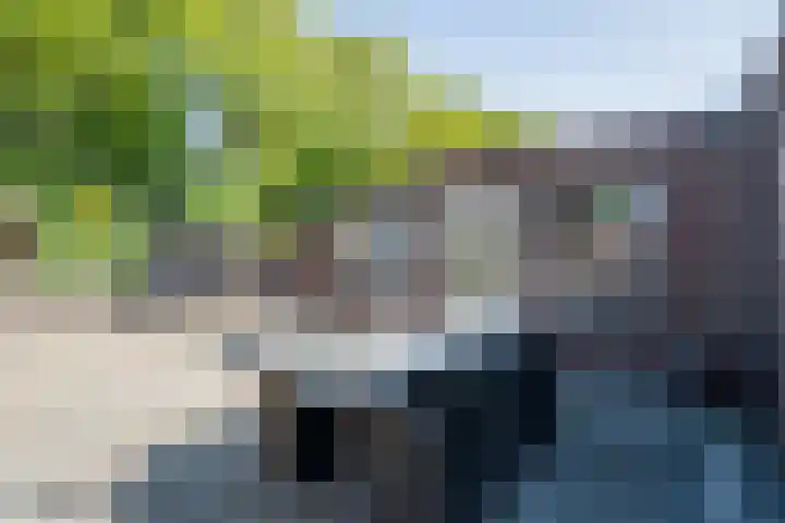 Eikenwal 154 Uden thumbnail 25
