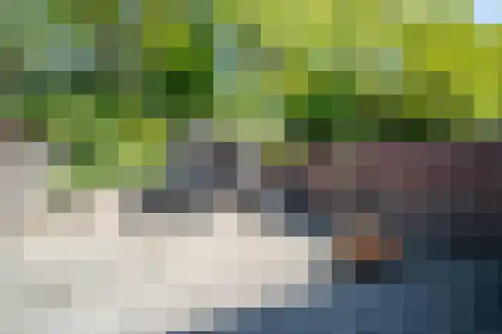 Eikenwal 154 Uden thumbnail 26