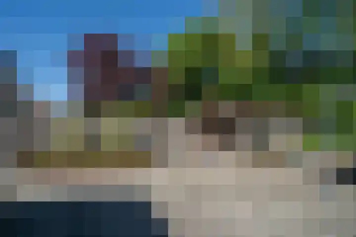 Eikenwal 154 Uden thumbnail 27