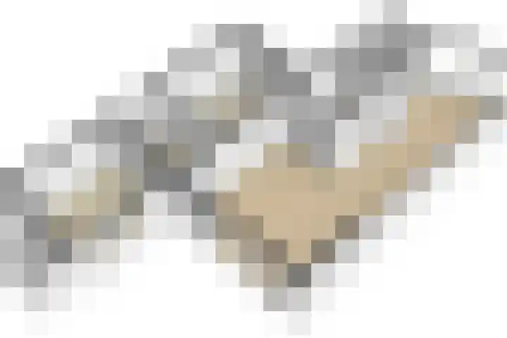 Eikenwal 154 Uden thumbnail 29