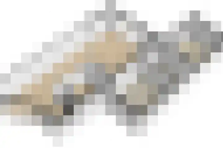 Eikenwal 154 Uden thumbnail 30