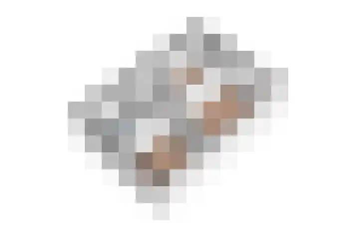 Eikenwal 154 Uden thumbnail 32