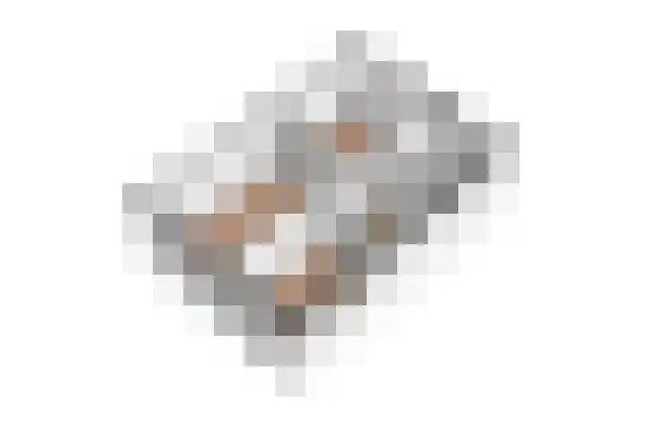 Eikenwal 154 Uden thumbnail 33