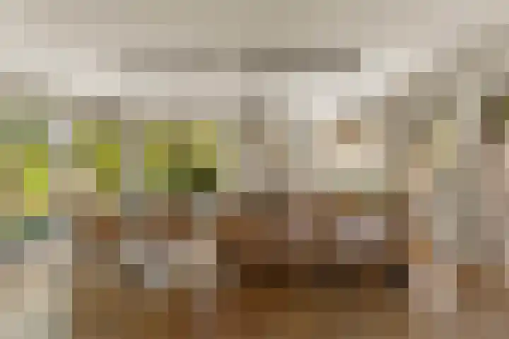 Eikenwal 20 Ottersum thumbnail 10