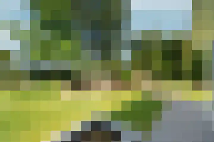 Eikenwal 20 Ottersum thumbnail 29