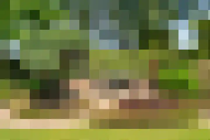 Eikenwal 20 Ottersum thumbnail 31